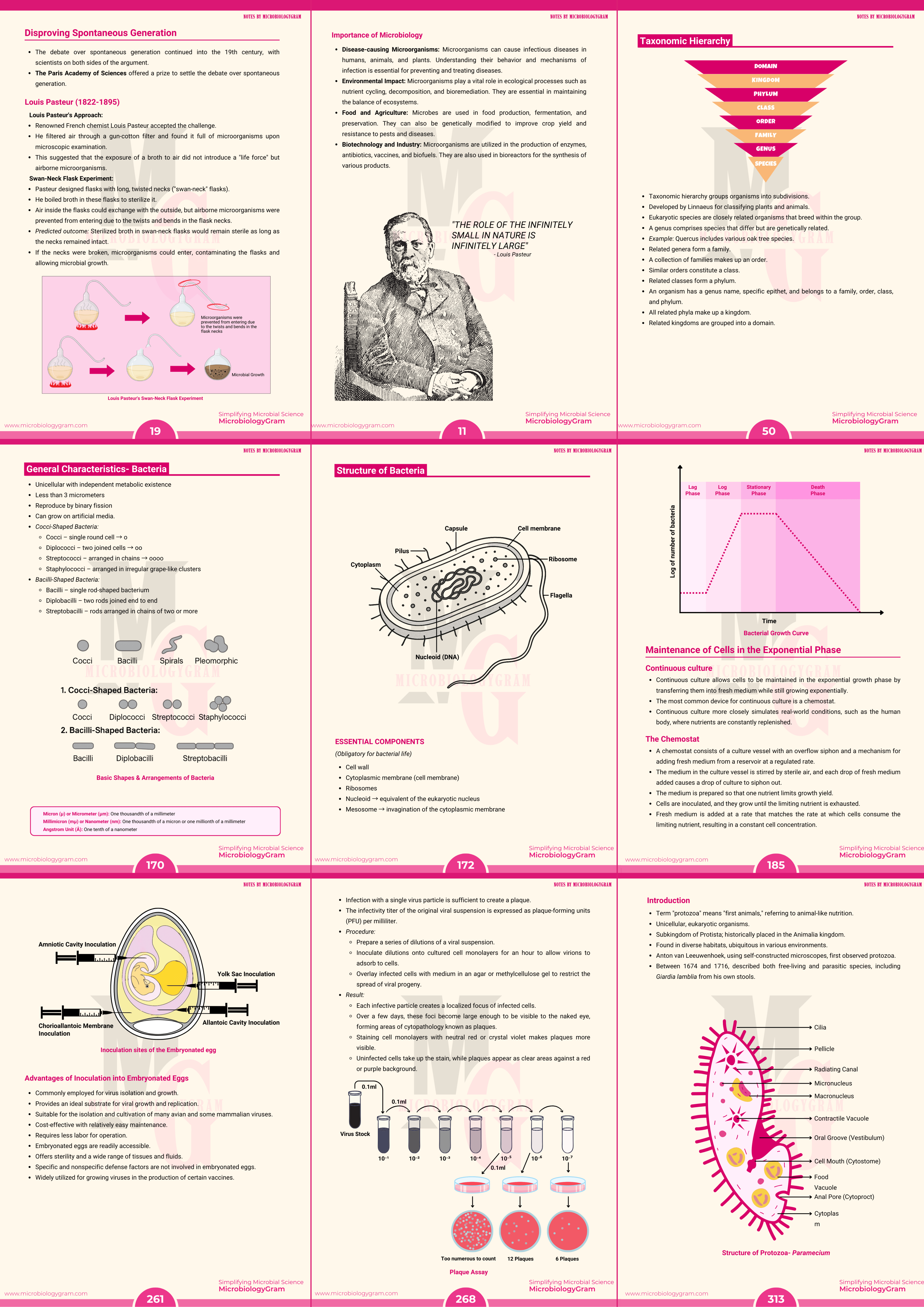 Simplified explanations — page preview
