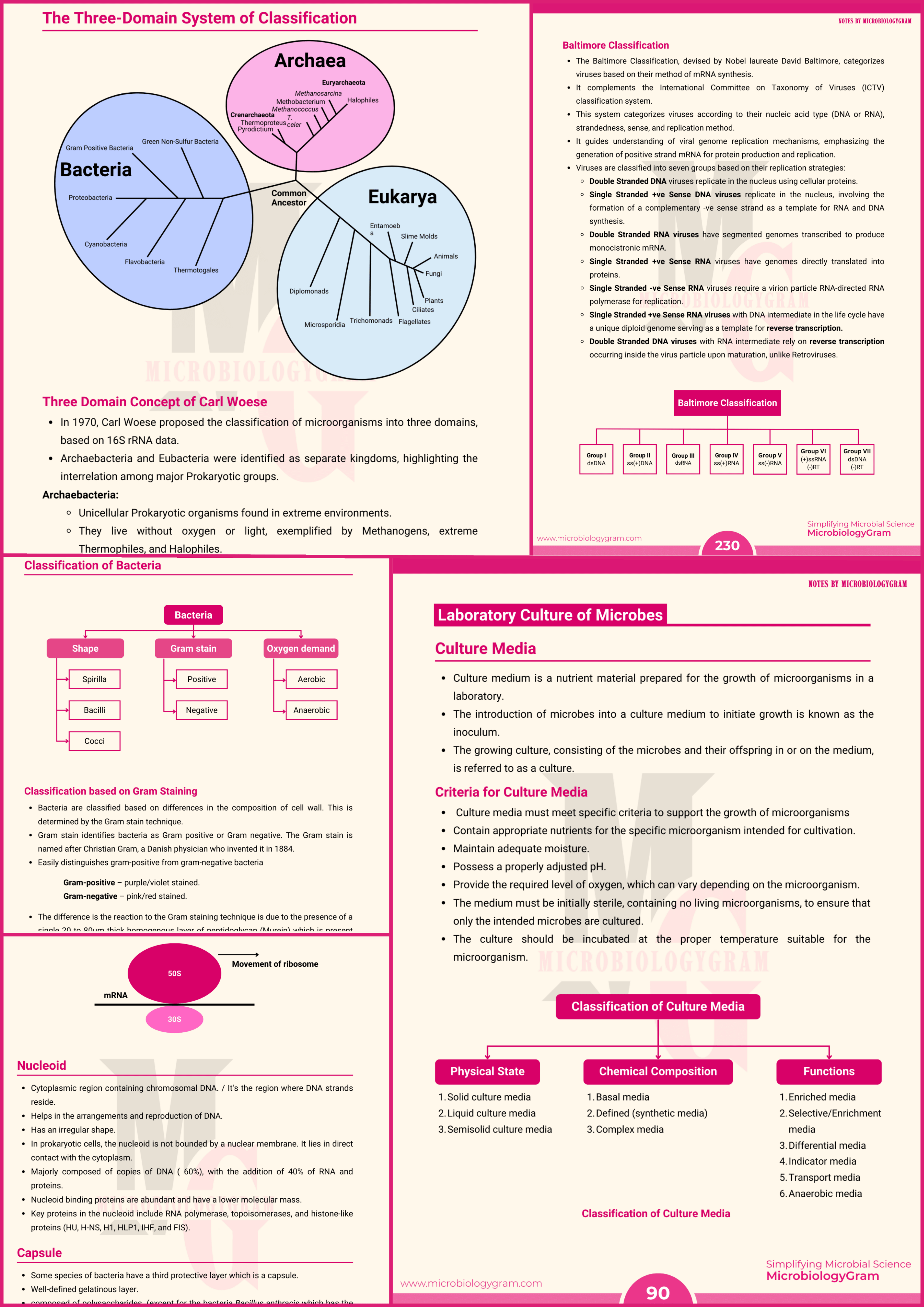 Exam-focused bullets — page preview