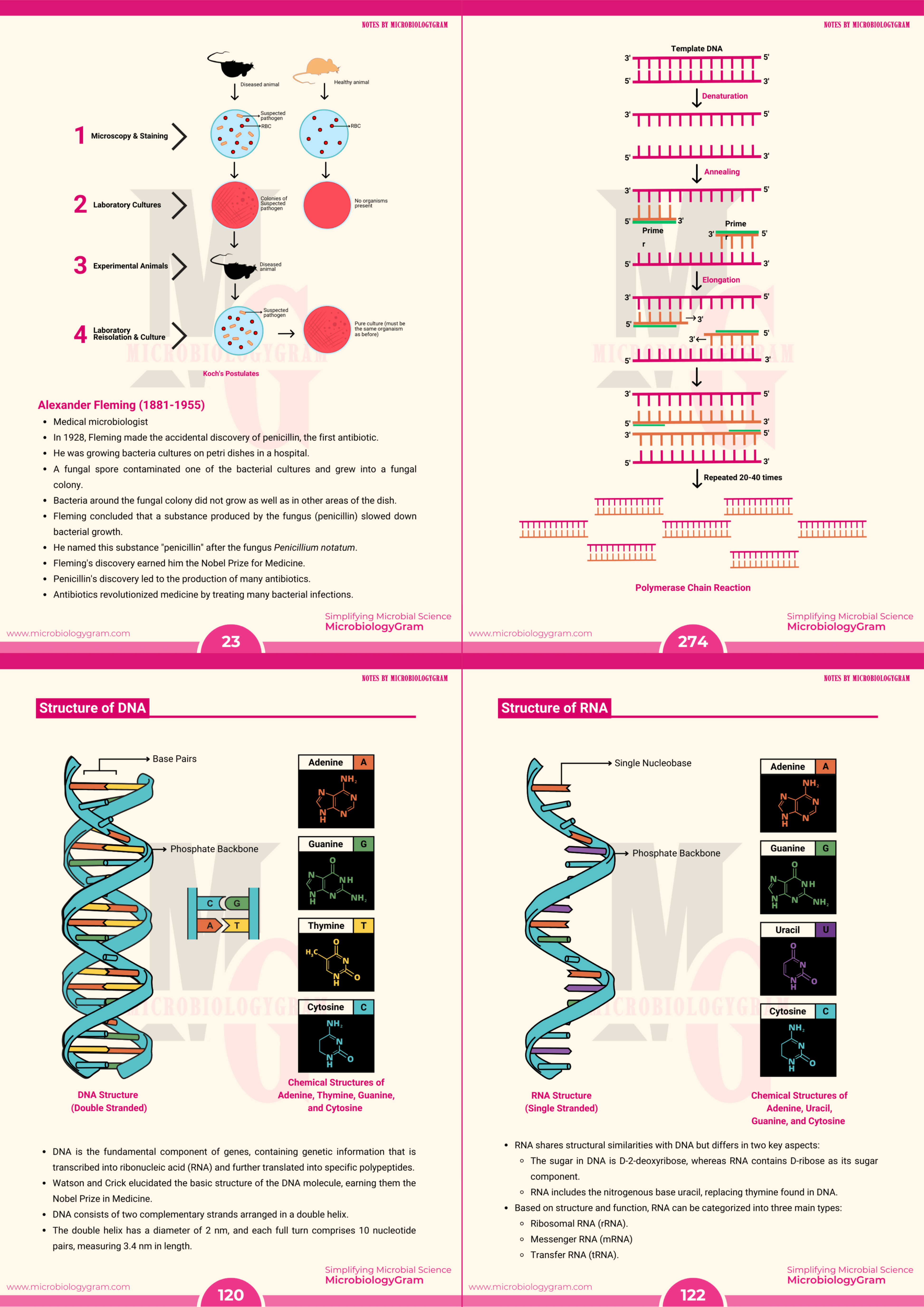 Visual diagrams — page preview